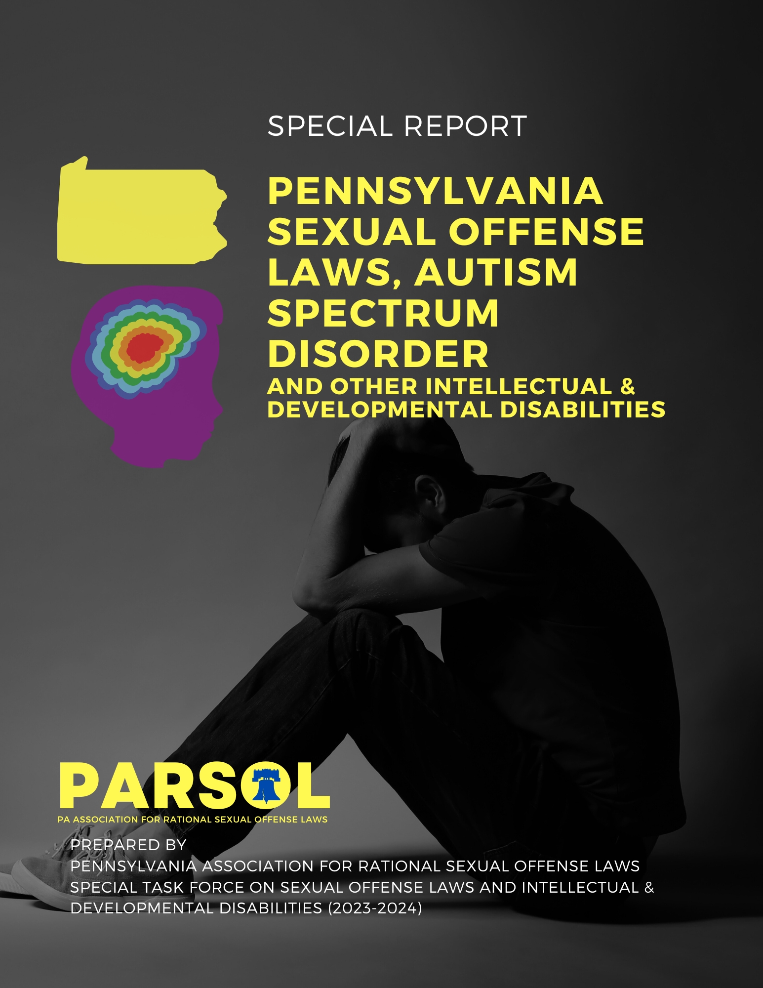 PARSOL's Sex Offense Laws & Autism/IDD Report Cover